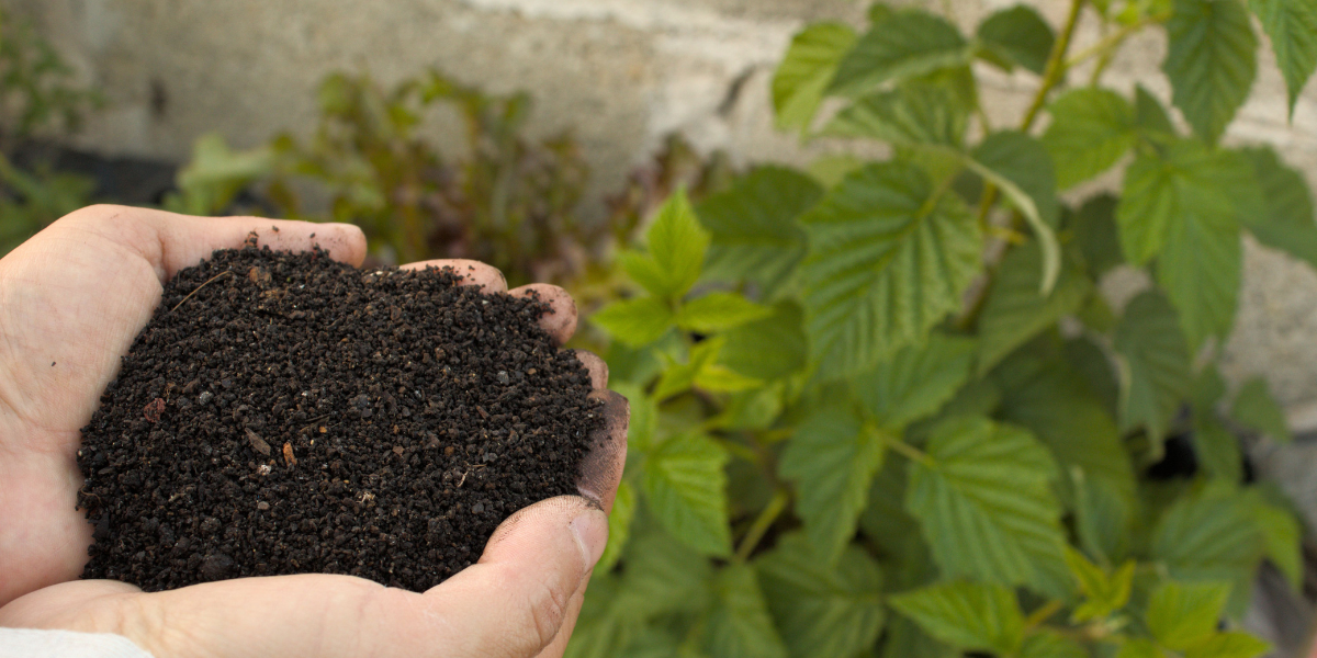 Handful of Soil